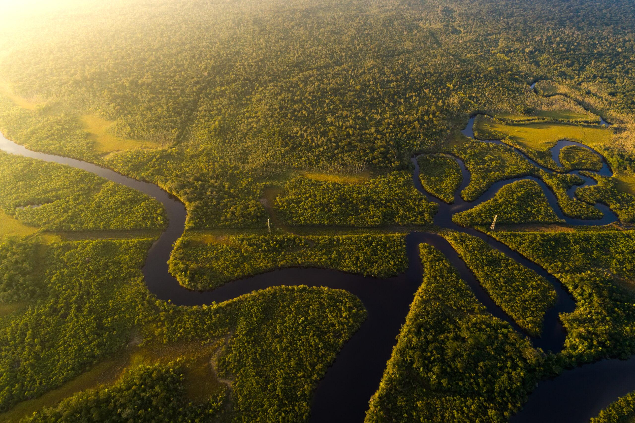 Amaz&ocirc;nia